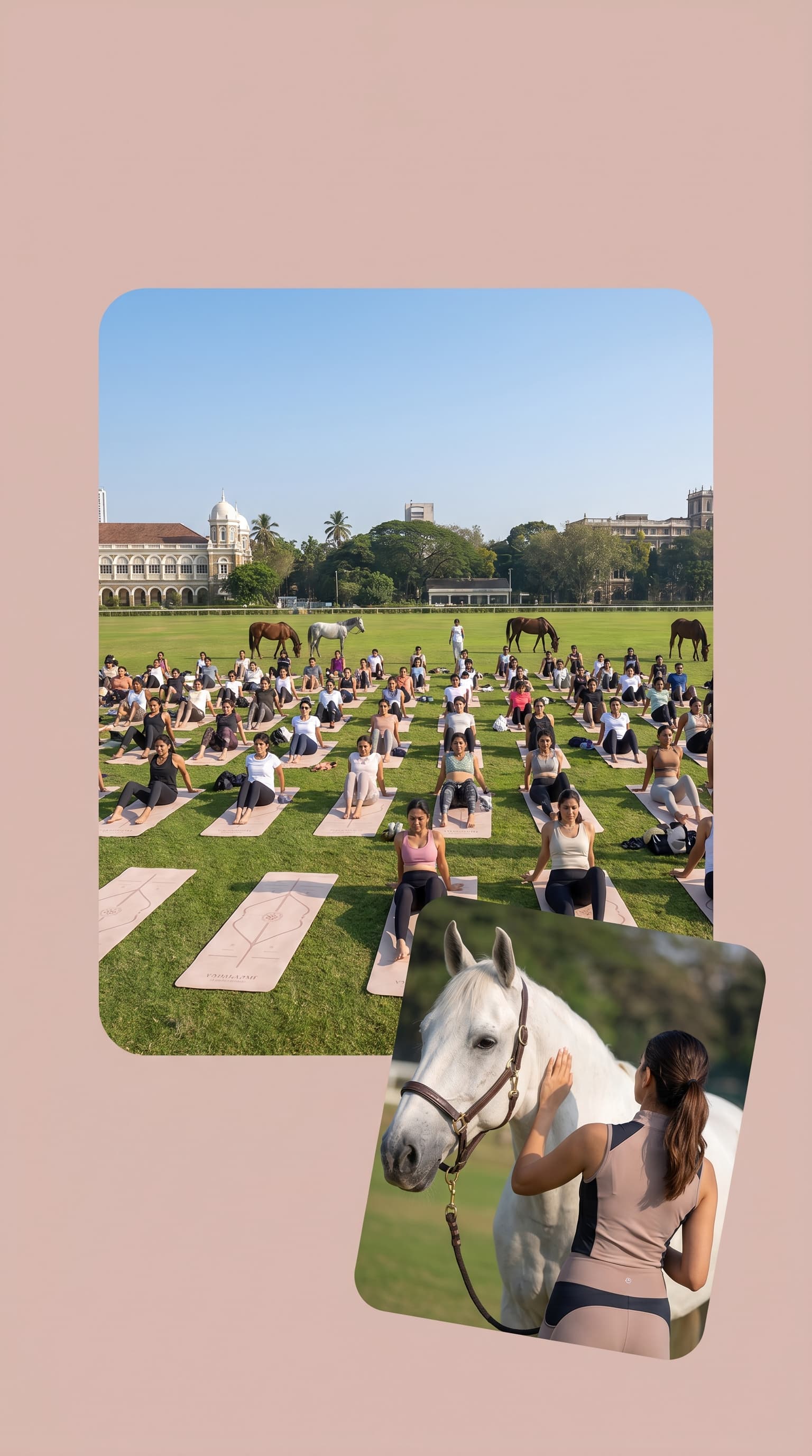 Horse Pilates Club session